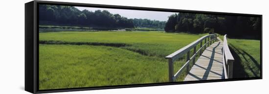 Boardwalk in a Field, Nauset Marsh, Cape Cod, Massachusetts, USA-null-Framed Stretched Canvas