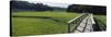 Boardwalk in a Field, Nauset Marsh, Cape Cod, Massachusetts, USA-null-Stretched Canvas