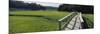 Boardwalk in a Field, Nauset Marsh, Cape Cod, Massachusetts, USA-null-Mounted Photographic Print