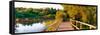 Boardwalk in a forest, Magee Marsh Wildlife Area, Oak Harbor, Ohio, USA-null-Framed Stretched Canvas