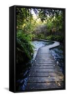 Boardwalk in Te Waikoropupu Springs Declared as Clearest Fresh Water Springs in the World-Michael Runkel-Framed Stretched Canvas