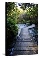 Boardwalk in Te Waikoropupu Springs Declared as Clearest Fresh Water Springs in the World-Michael Runkel-Stretched Canvas
