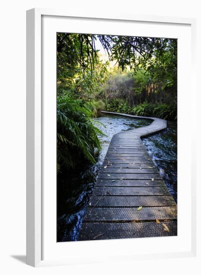 Boardwalk in Te Waikoropupu Springs Declared as Clearest Fresh Water Springs in the World-Michael Runkel-Framed Photographic Print