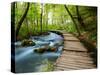 Boardwalk in the Park-silver-john-Stretched Canvas