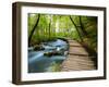 Boardwalk in the Park-silver-john-Framed Photographic Print