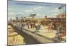 Boardwalk, Jacksonville, Florida-null-Mounted Art Print