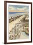 Boardwalk, Jacksonville, Florida-null-Framed Art Print