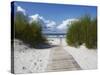 Boardwalk Leading to Beach, Liepaja, Latvia-Ian Trower-Stretched Canvas