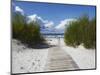 Boardwalk Leading to Beach, Liepaja, Latvia-Ian Trower-Mounted Photographic Print