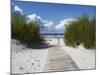 Boardwalk Leading to Beach, Liepaja, Latvia-Ian Trower-Mounted Photographic Print