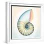 Boardwalk Nautilus-Elyse DeNeige-Framed Art Print