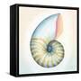 Boardwalk Nautilus-Elyse DeNeige-Framed Stretched Canvas