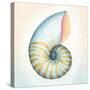 Boardwalk Nautilus-Elyse DeNeige-Stretched Canvas