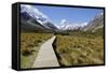 Boardwalk on Hooker Valley Trail with Mount Cook, Mount Cook National Park, Canterbury Region-Stuart Black-Framed Stretched Canvas