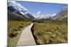 Boardwalk on Hooker Valley Trail with Mount Cook, Mount Cook National Park, Canterbury Region-Stuart Black-Mounted Photographic Print