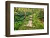 Boardwalk on the Alakai Swamp Trail, Kokee State Park, Kauai, Hawaii, USA.-Russ Bishop-Framed Photographic Print