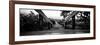 Boardwalk on the Beach at Sunset - Florida-Philippe Hugonnard-Framed Photographic Print