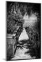 Boardwalk on the Beach - Florida - United States-Philippe Hugonnard-Mounted Photographic Print