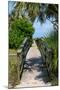 Boardwalk on the Beach - Florida - United States-Philippe Hugonnard-Mounted Photographic Print