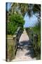 Boardwalk on the Beach - Florida - United States-Philippe Hugonnard-Stretched Canvas