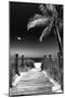 Boardwalk on the Beach - Florida-Philippe Hugonnard-Mounted Photographic Print