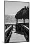 Boardwalk on the Beach - Florida-Philippe Hugonnard-Mounted Photographic Print