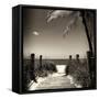 Boardwalk on the Beach - Florida-Philippe Hugonnard-Framed Stretched Canvas