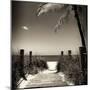 Boardwalk on the Beach - Florida-Philippe Hugonnard-Mounted Photographic Print