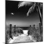 Boardwalk on the Beach - Florida-Philippe Hugonnard-Mounted Photographic Print