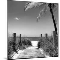 Boardwalk on the Beach - Florida-Philippe Hugonnard-Mounted Photographic Print