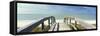 Boardwalk on the beach, Gasparilla Island, Florida, USA-Panoramic Images-Framed Stretched Canvas