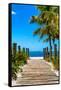 Boardwalk on the Beach - Key West - Florida-Philippe Hugonnard-Framed Stretched Canvas