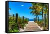 Boardwalk on the Beach - Key West - Florida-Philippe Hugonnard-Framed Stretched Canvas