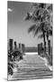 Boardwalk on the Beach - Key West - Florida-Philippe Hugonnard-Mounted Photographic Print