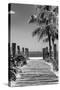 Boardwalk on the Beach - Key West - Florida-Philippe Hugonnard-Stretched Canvas