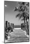 Boardwalk on the Beach - Key West - Florida-Philippe Hugonnard-Mounted Photographic Print