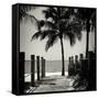 Boardwalk on the Beach - Key West - Florida-Philippe Hugonnard-Framed Stretched Canvas