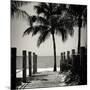 Boardwalk on the Beach - Key West - Florida-Philippe Hugonnard-Mounted Premium Photographic Print