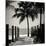 Boardwalk on the Beach - Key West - Florida-Philippe Hugonnard-Mounted Photographic Print