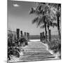 Boardwalk on the Beach - Key West - Florida-Philippe Hugonnard-Mounted Photographic Print