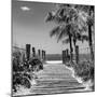 Boardwalk on the Beach - Key West - Florida-Philippe Hugonnard-Mounted Photographic Print