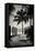 Boardwalk on the Beach - Key West - Florida-Philippe Hugonnard-Framed Stretched Canvas