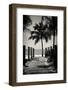 Boardwalk on the Beach - Key West - Florida-Philippe Hugonnard-Framed Photographic Print