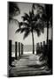 Boardwalk on the Beach - Key West - Florida-Philippe Hugonnard-Mounted Photographic Print