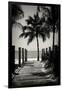 Boardwalk on the Beach - Key West - Florida-Philippe Hugonnard-Framed Photographic Print