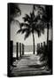 Boardwalk on the Beach - Key West - Florida-Philippe Hugonnard-Framed Stretched Canvas