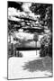 Boardwalk on the Beach - Miami - Florida - United States-Philippe Hugonnard-Mounted Photographic Print