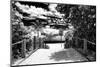 Boardwalk on the Beach - Miami - Florida - United States-Philippe Hugonnard-Mounted Photographic Print