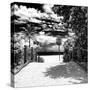 Boardwalk on the Beach - Miami - Florida - United States-Philippe Hugonnard-Stretched Canvas