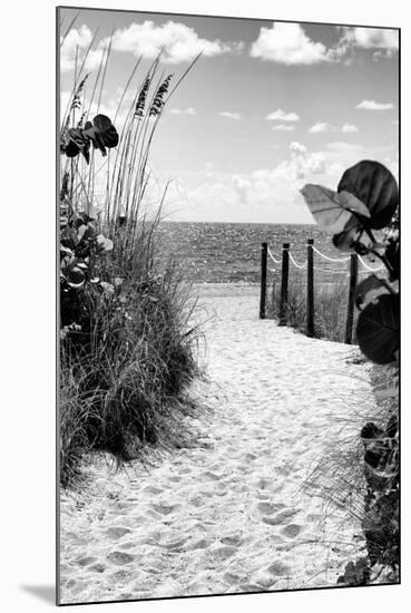 Boardwalk on the Beach - Miami - Florida-Philippe Hugonnard-Mounted Premium Photographic Print